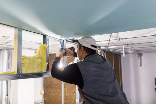 Best Insulation Removal  in Marianne, PA