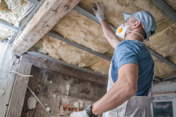 Best Best Insulation Companies  in Marianne, PA